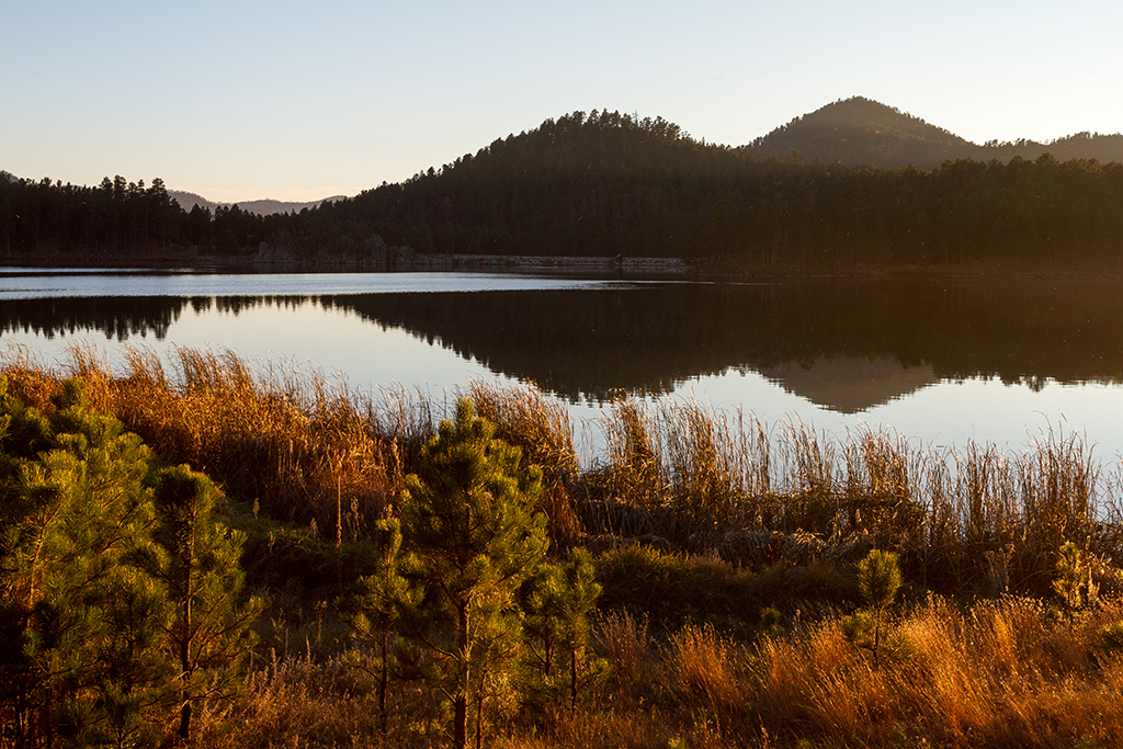 10-10 - 16.jpg - Custer State Park, SD